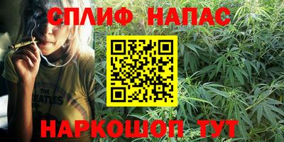 гидра Рыбинск