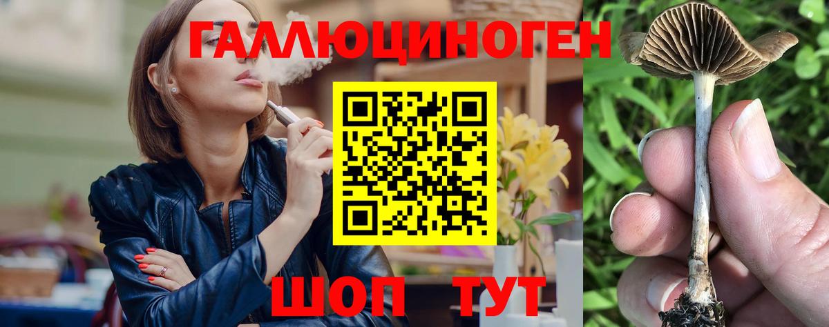 Галлюциногенные грибы Psilocybe  Вход с VPN  Реутов 